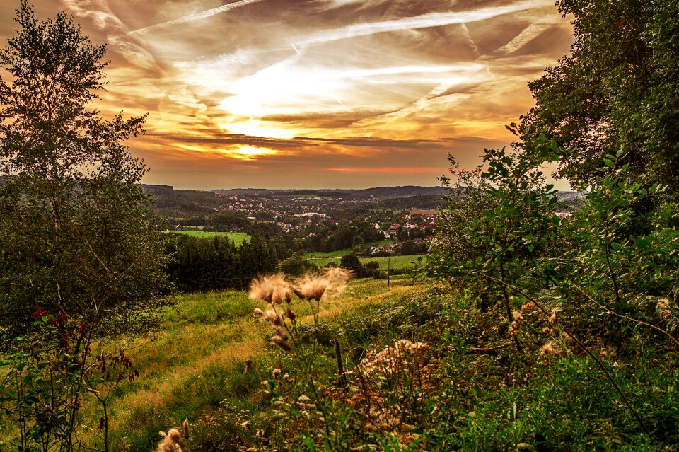 Grass landscape sky photo