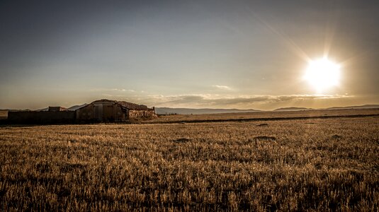 Nature field outdoors photo