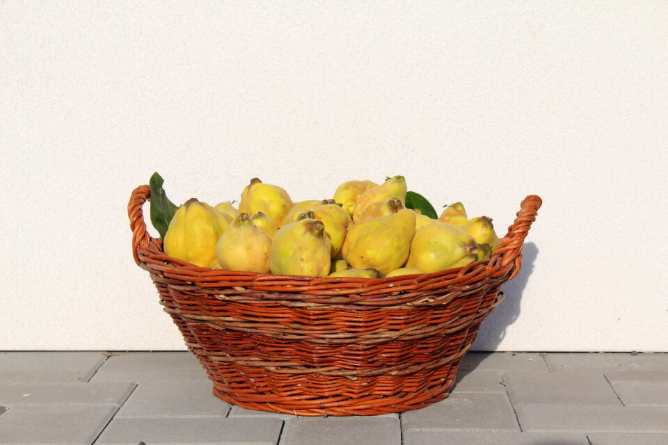 Fruit background quince