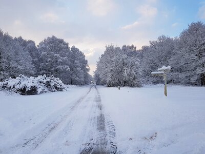 Cold frost