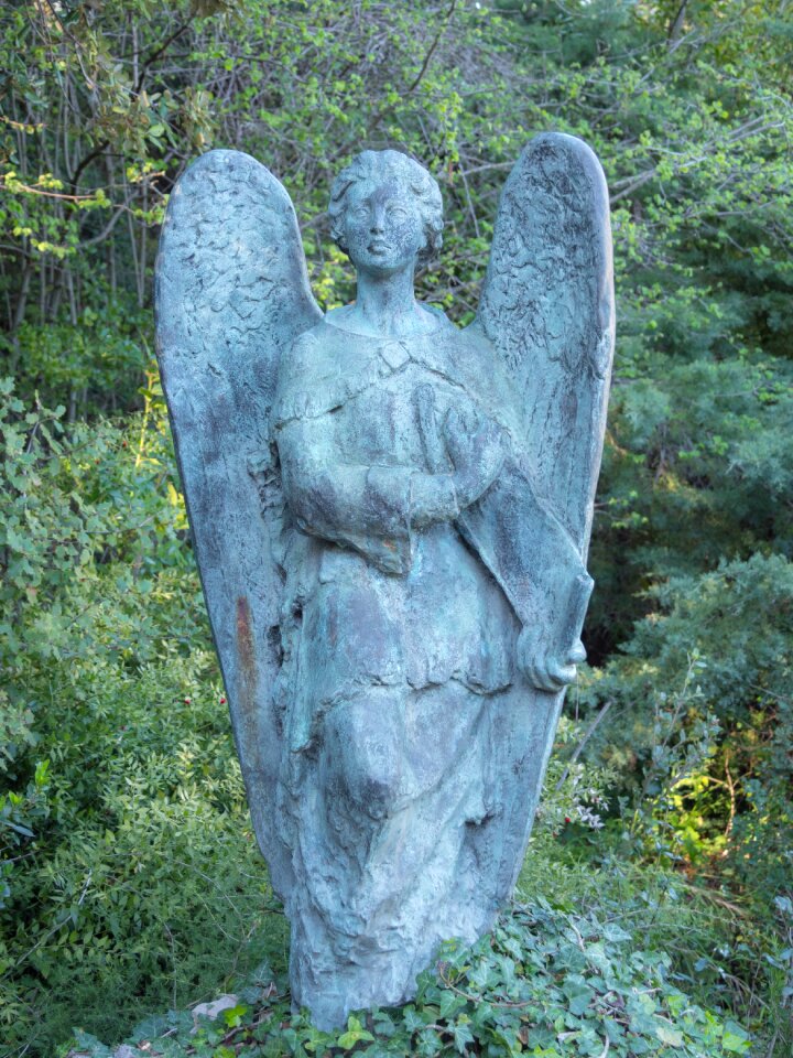 Nature angel wings