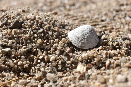 Sand stone nature