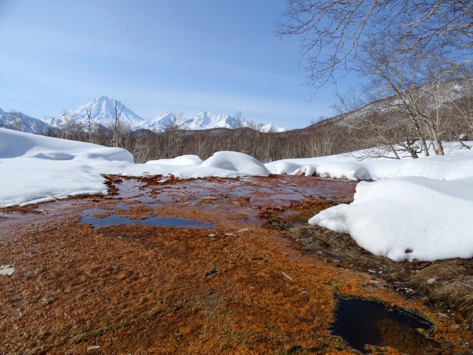 Creek bright day heat