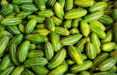 Food healthy agriculture