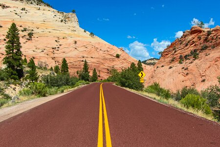 Nature outdoors zion