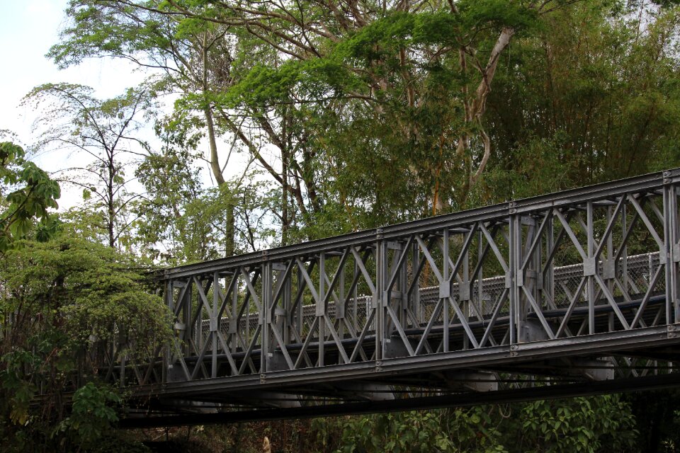 Steel bridge nature