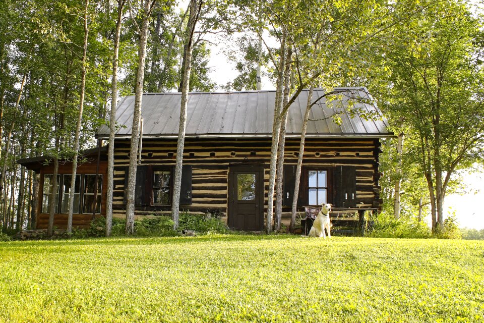 Lifestyle architecture sunny
