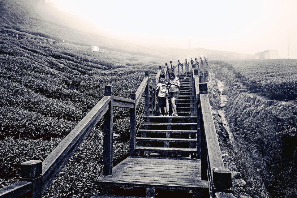Nature stairs people
