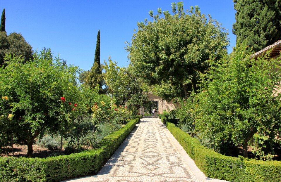 Garden plant park