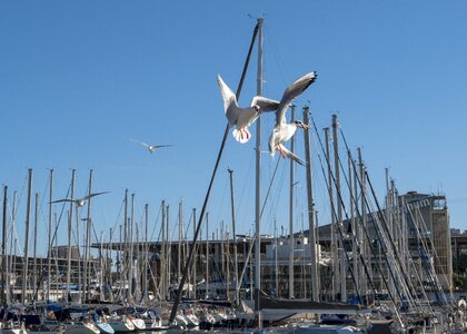 Blue blue sky sea photo