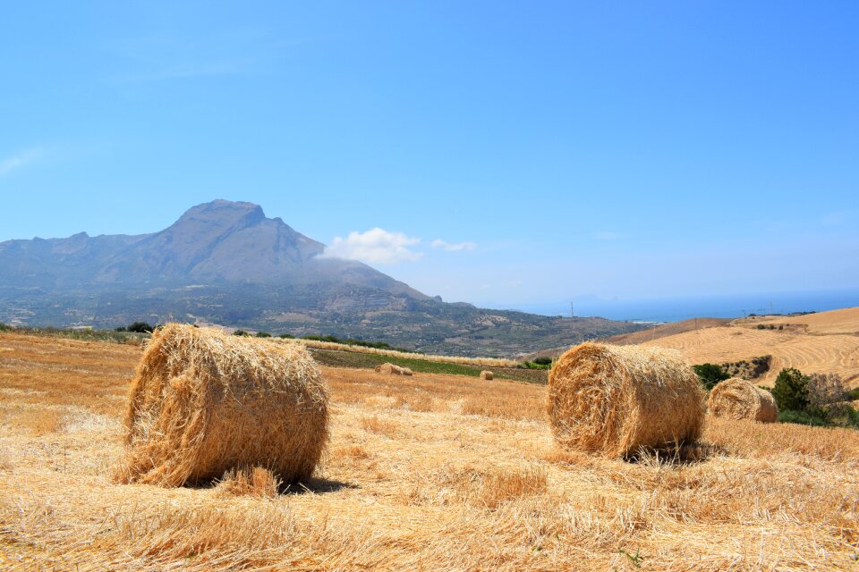 Landscape hay straw