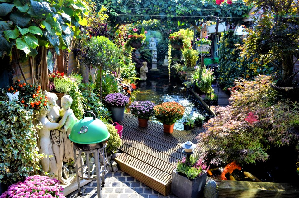 Property summer botanical