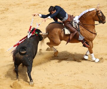 Torero rejoneador plaza de toros de valencia photo