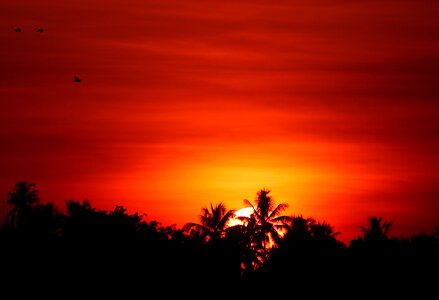 Evening silhouette sun photo