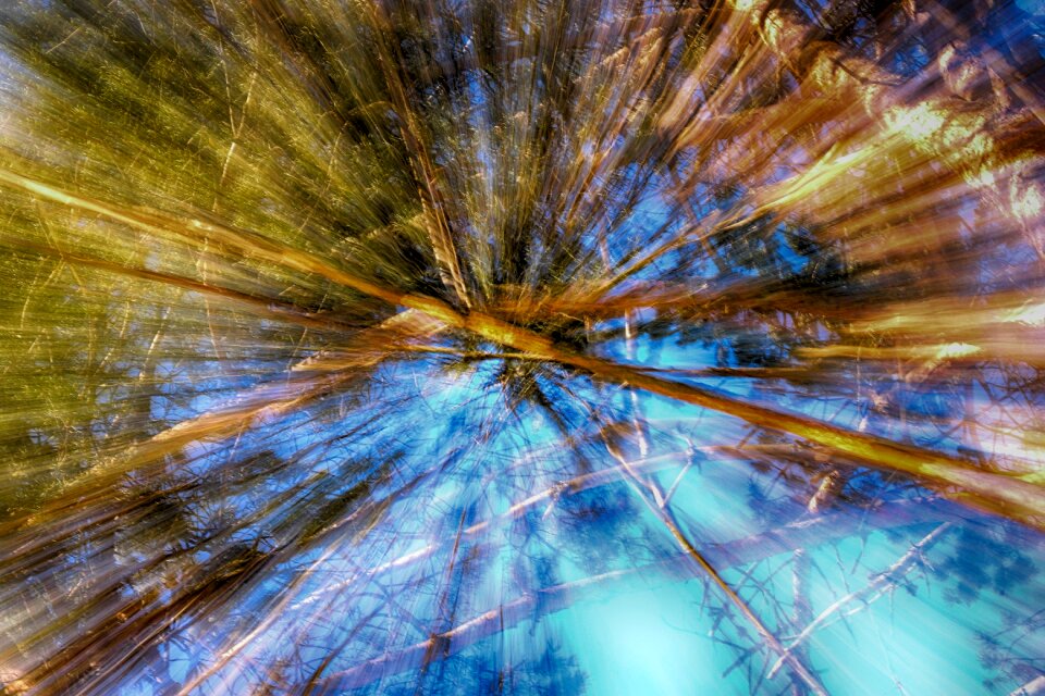 Sky outdoors pattern