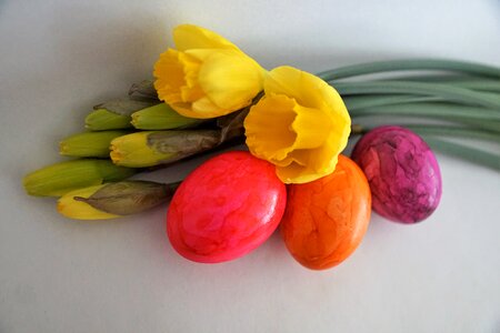 Healthy color fruit