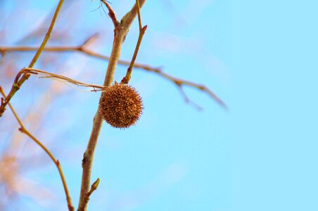 Winter air copyspace