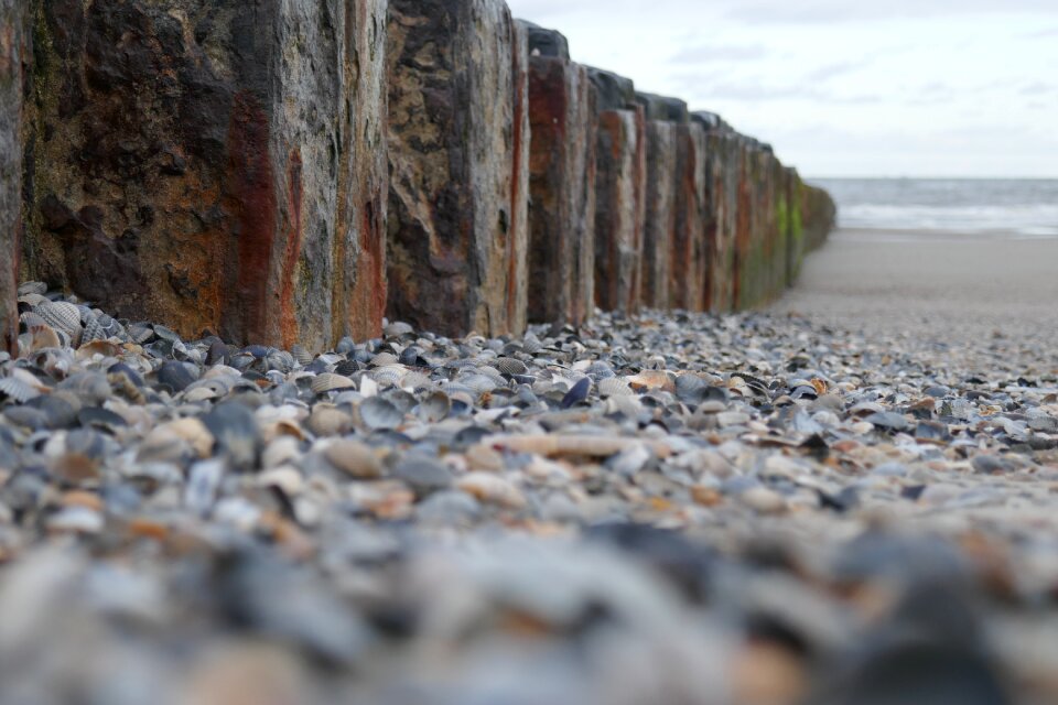 Coast sea beach