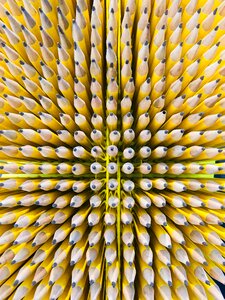 Sculpture texture set