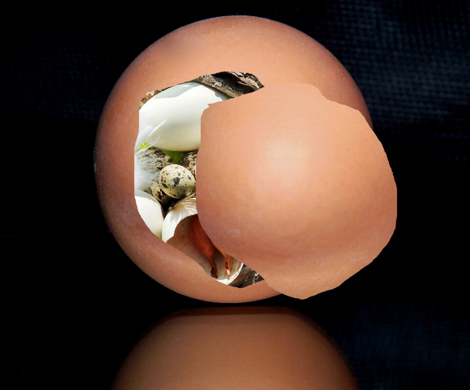 Colored egg colored colorful