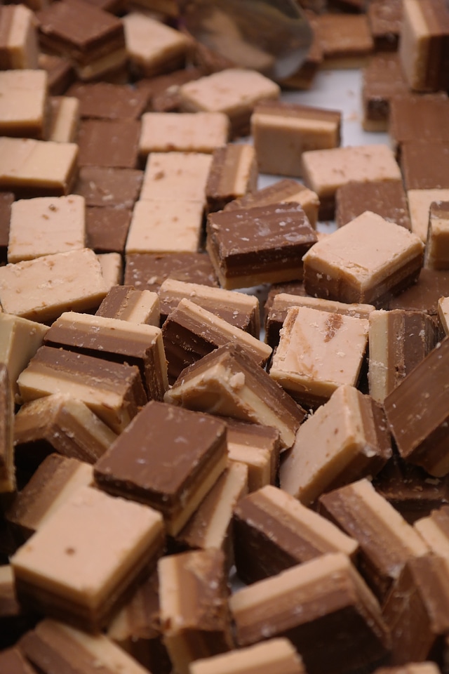 Chocolate confectionery specialities confectionery