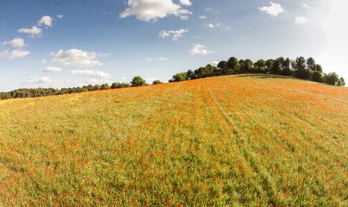 Lawn panoramic rural area