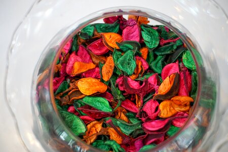 Cuisine color