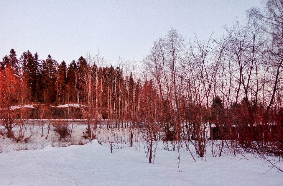Season frost frozen