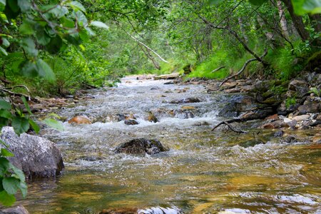 Water bodies nature Free photos