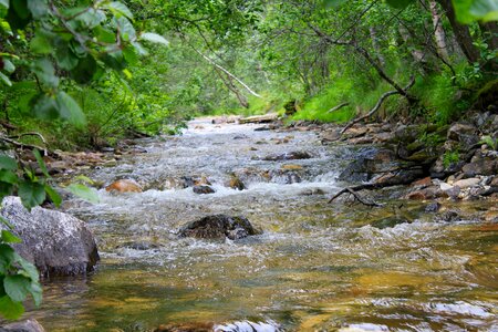 Water bodies nature Free photos photo