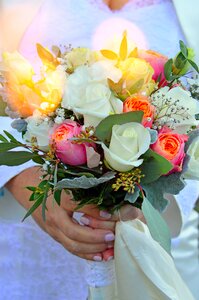 Rose celebration love