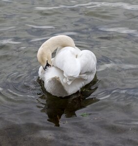 Lake river nature