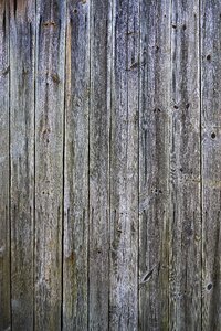 Spruce spruce wood weathered