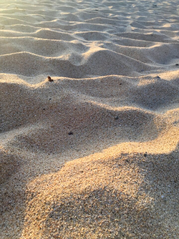 Sandy desert sunset