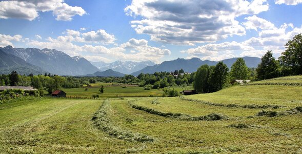 Grass sky mountain