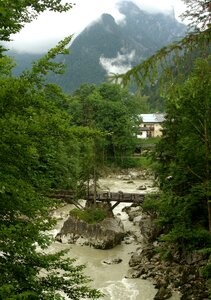 Tree landscape austria