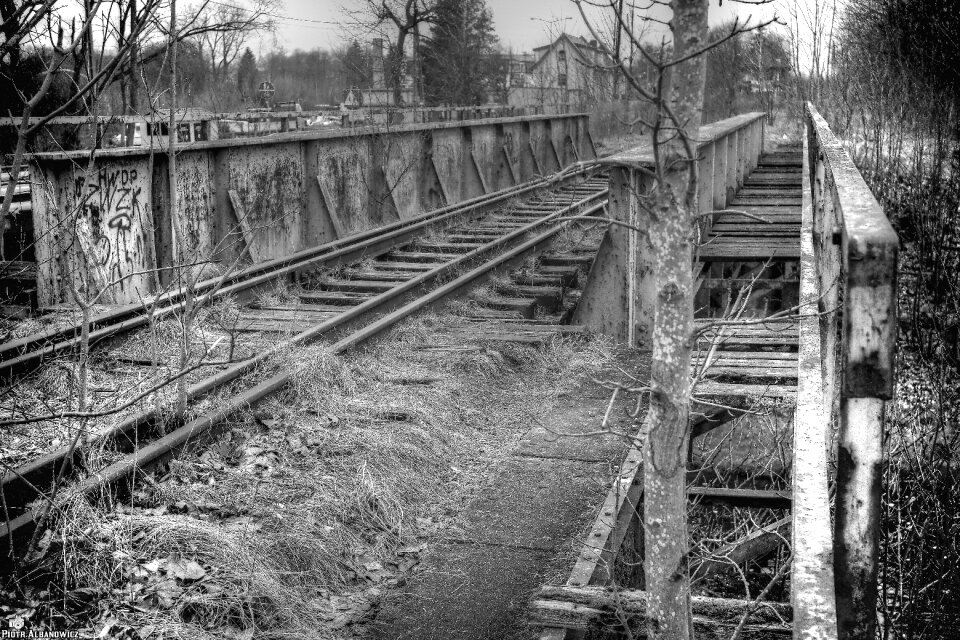 Transport train monochromatyczność