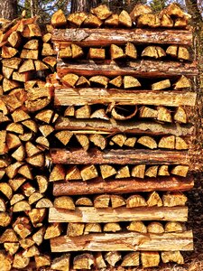 Wood for the fireplace pile background