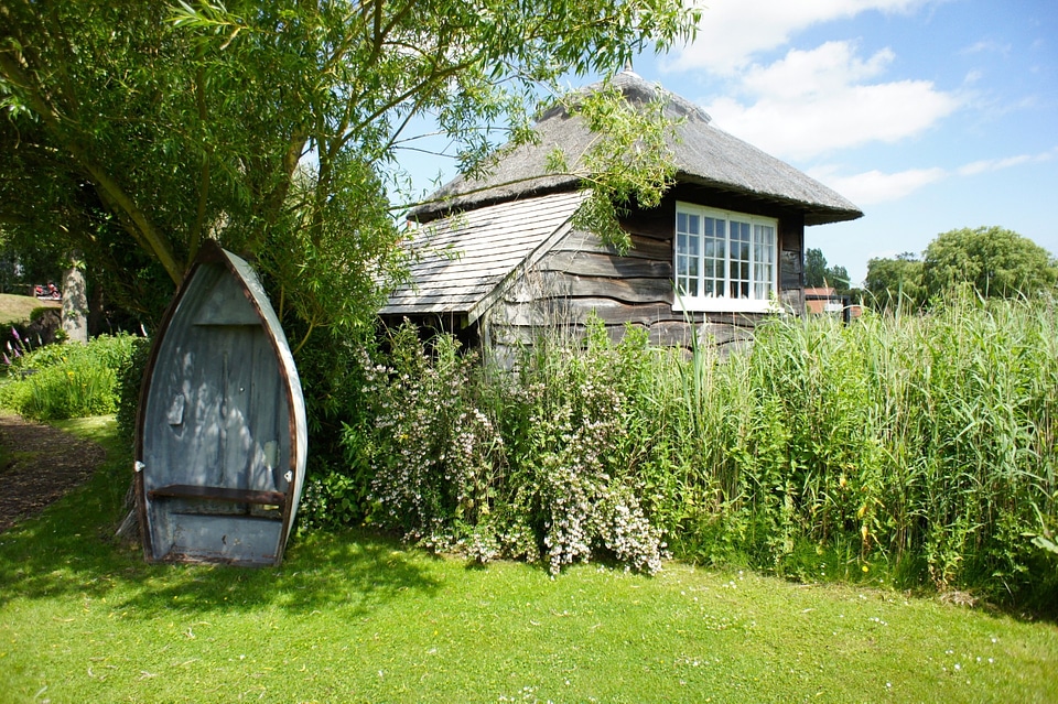 Rural summer garden