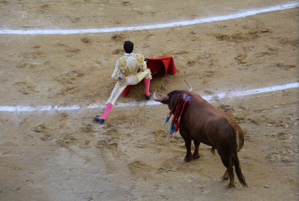 Courage matador de toros spain photo
