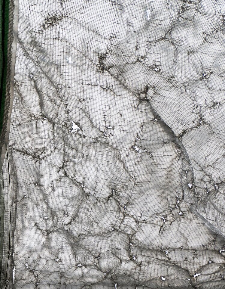 Stretched weathered fruit growing