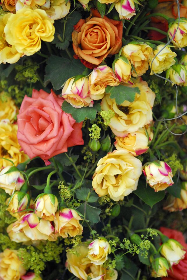 Floral wedding macro