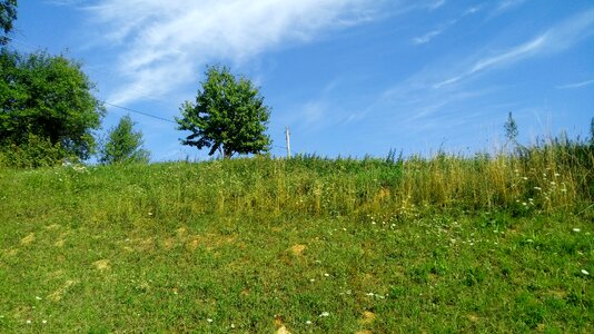 Landscape hayfield