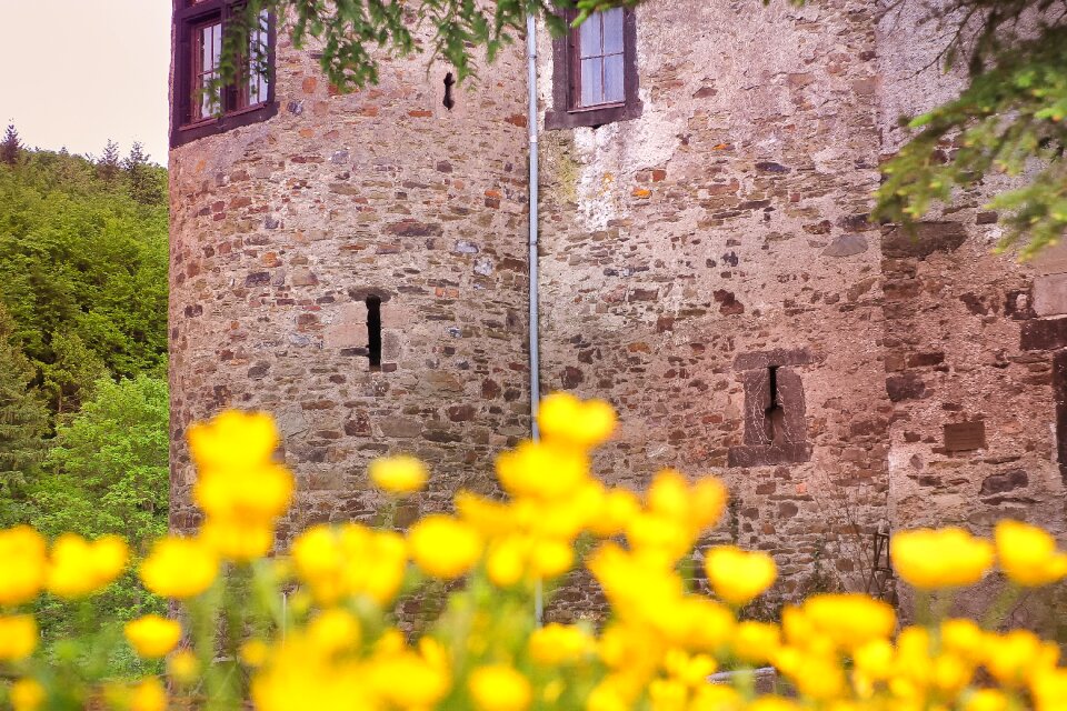 Castle wall window
