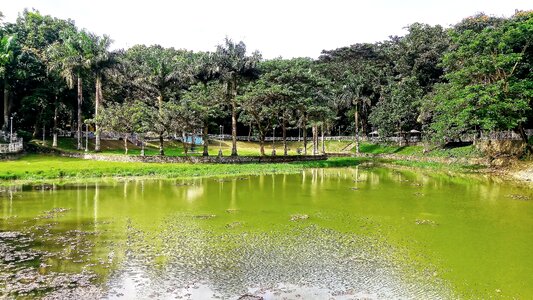 Summer tropical outdoors
