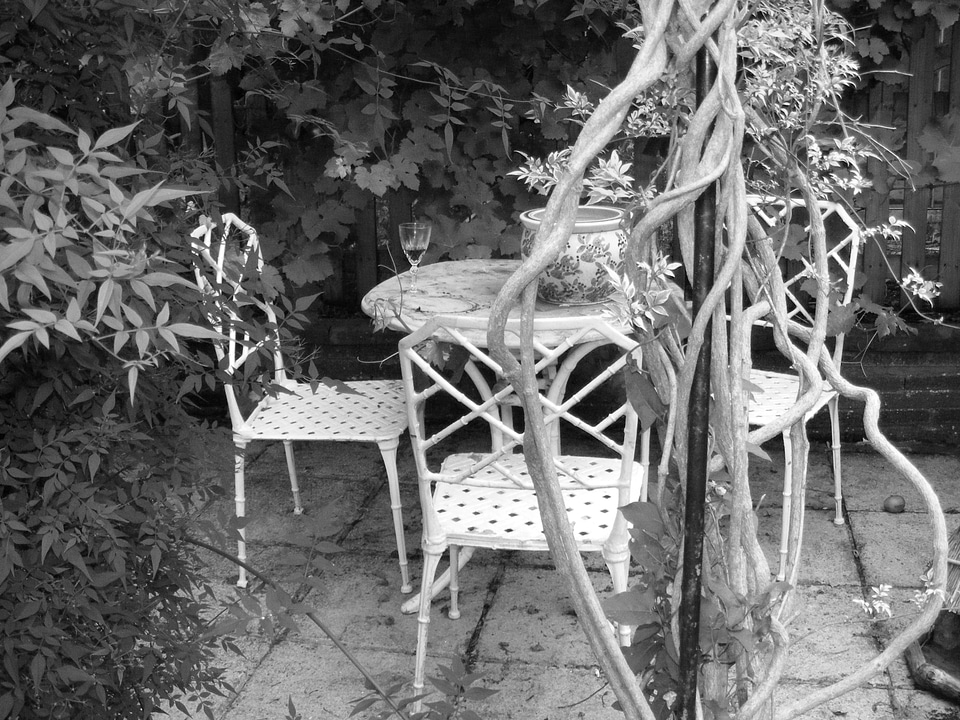 Gardening nature outdoor