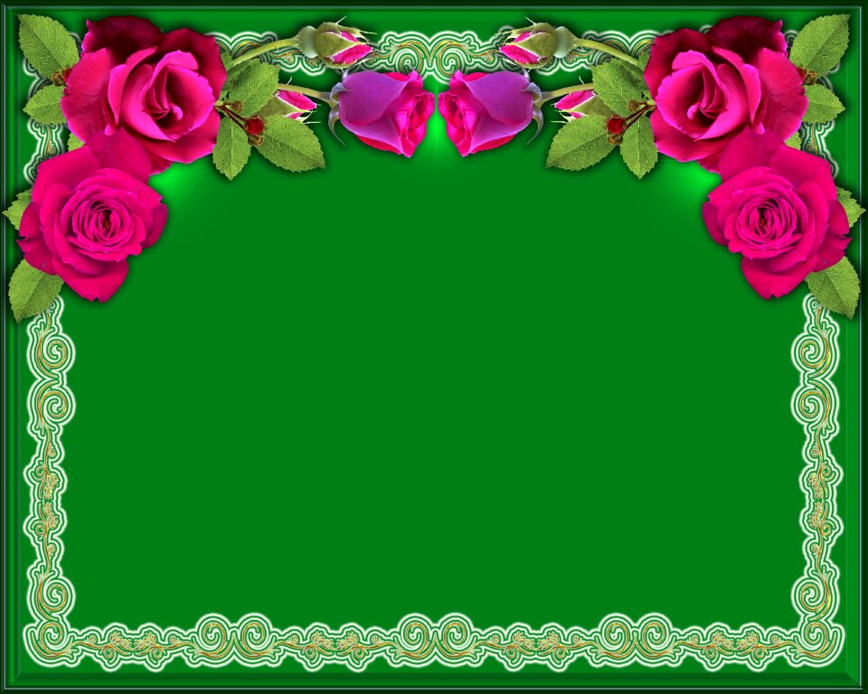 Ornament plant frame