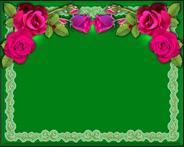 Ornament plant frame