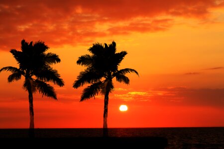 Sunset sun tropicale photo