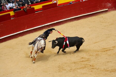 Bullring torero Free photos